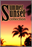 Summer Sunset Auction
